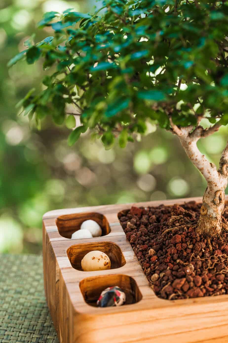 Chocolates artesanales